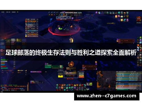 足球部落的终极生存法则与胜利之道探索全面解析