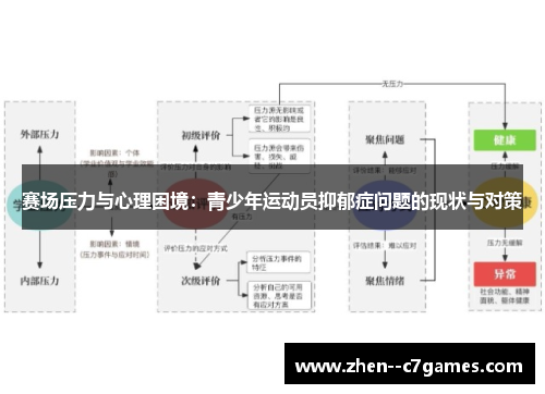 赛场压力与心理困境：青少年运动员抑郁症问题的现状与对策